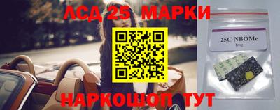 гидропоника Новозыбков