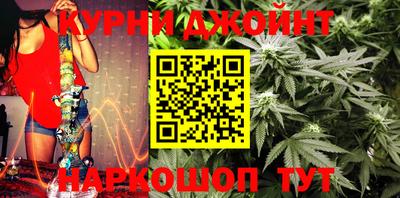 гидропоника Новозыбков